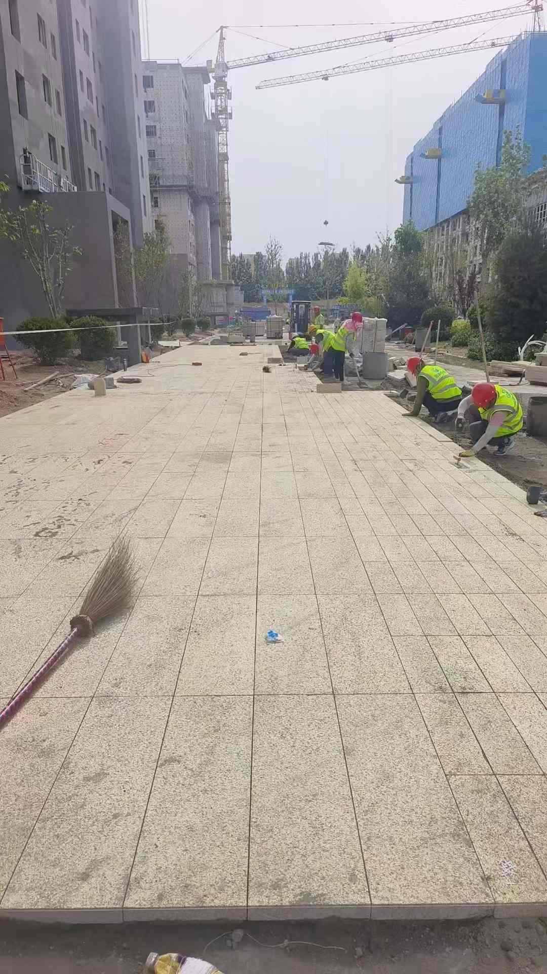 宁夏黄金麻荔枝面地铺案例