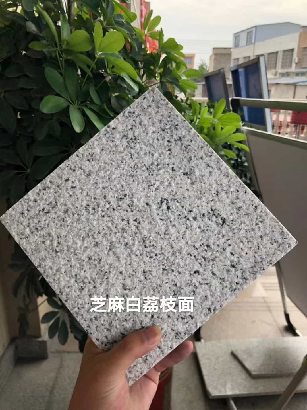 宁夏 芝麻白荔枝面干挂