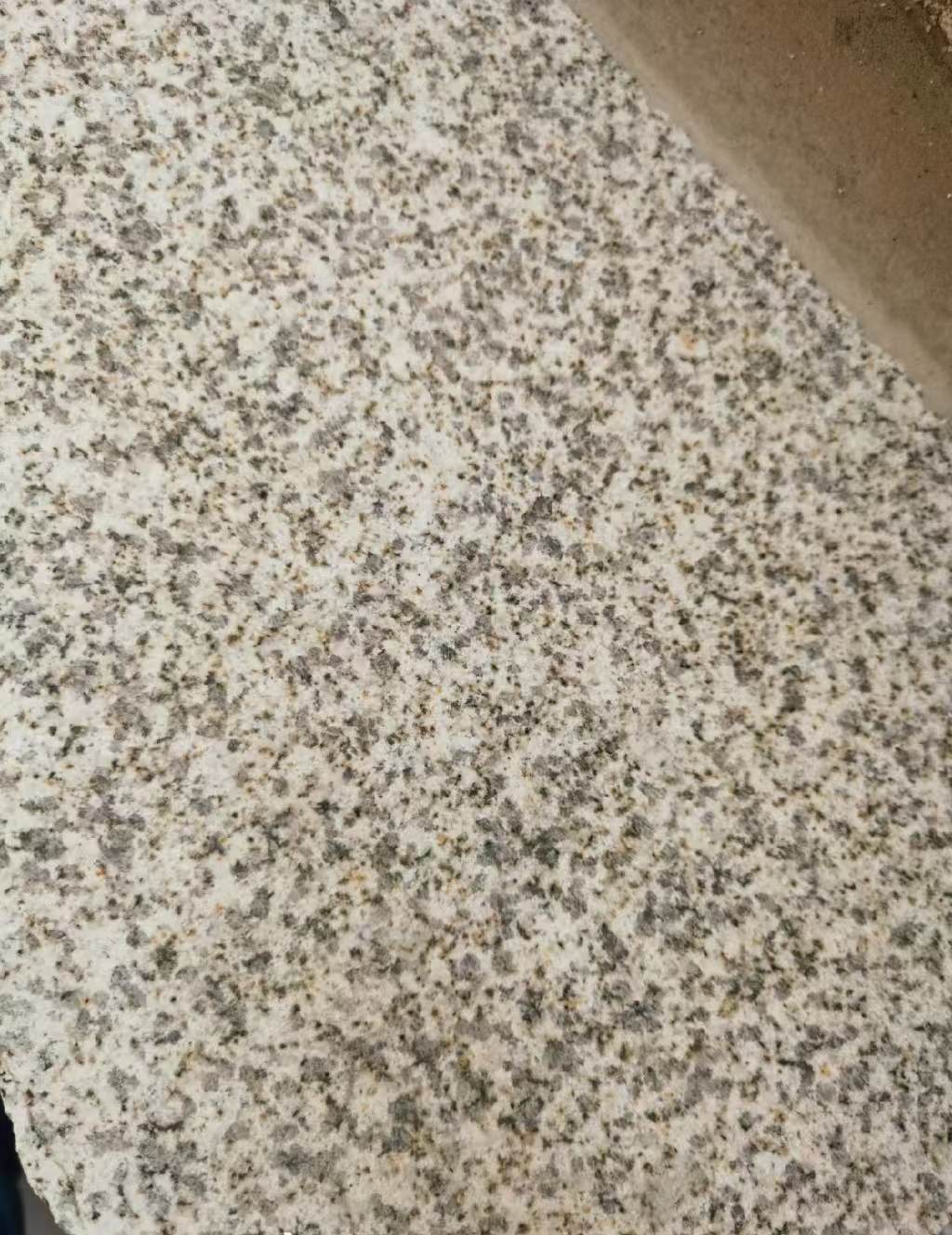 宁夏 黄金麻中黄光面